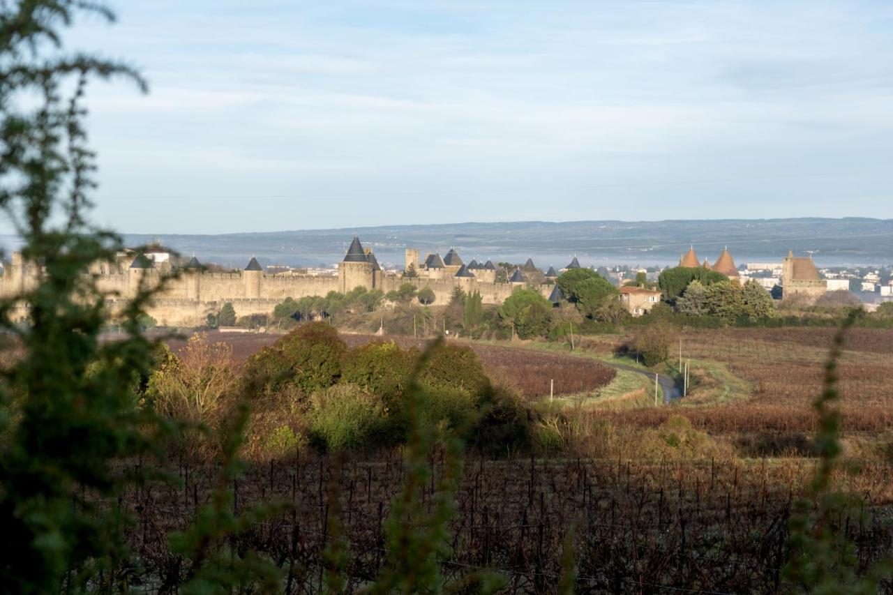 Villa des Cathares Carcassonne Esterno foto