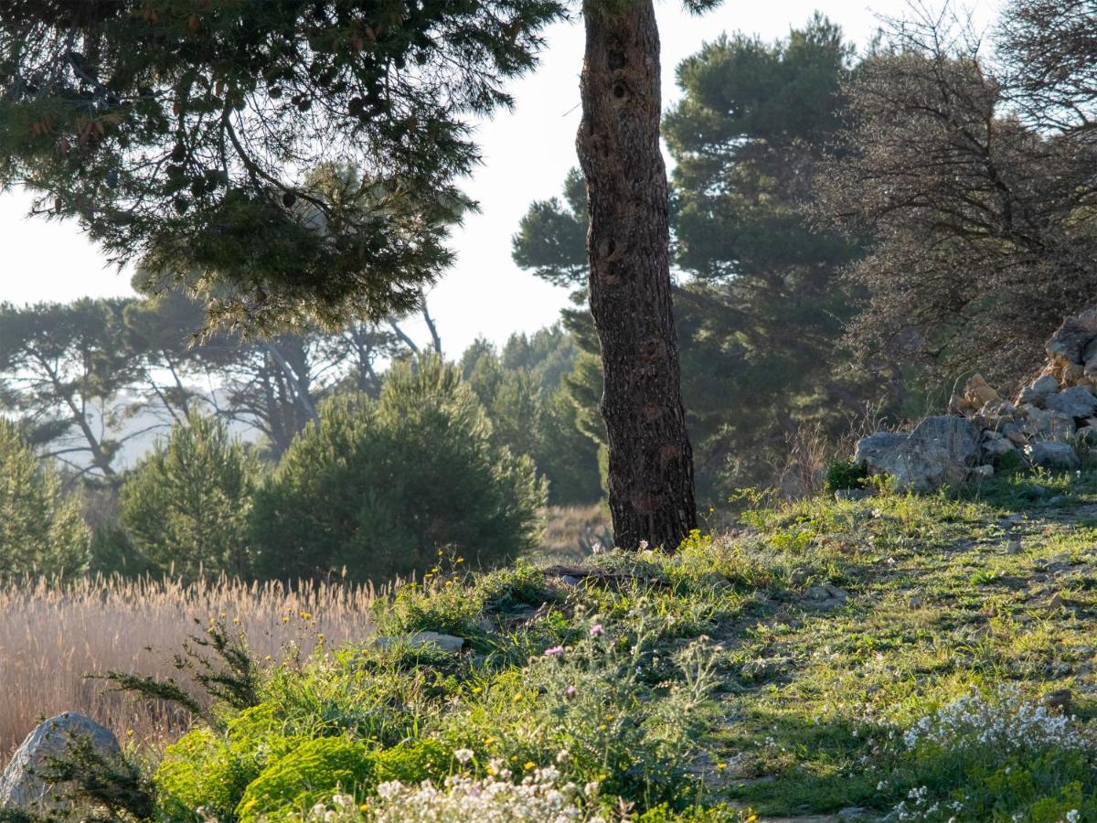 Villa des Cathares Carcassonne Esterno foto