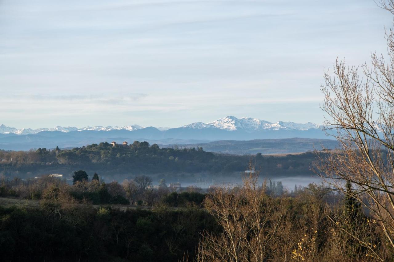 Villa des Cathares Carcassonne Esterno foto