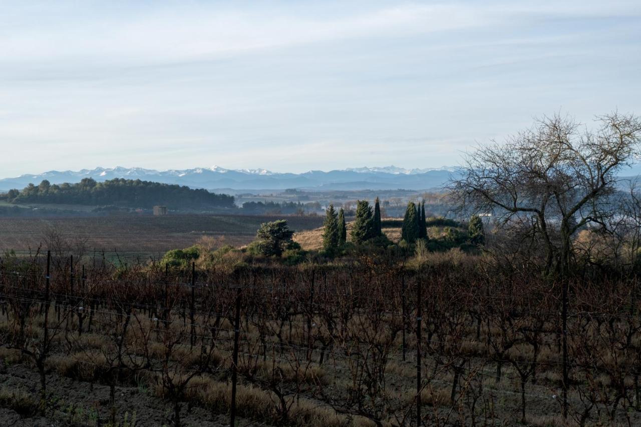 Villa des Cathares Carcassonne Esterno foto