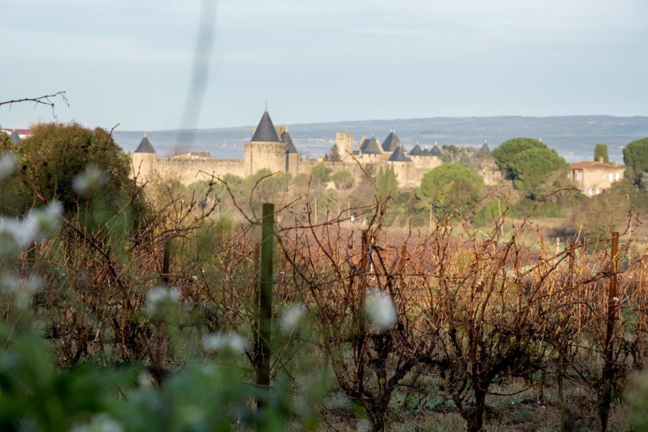 Villa des Cathares Carcassonne Esterno foto